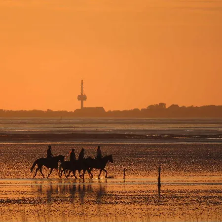 Residenz Luv Und Lee Apartman *