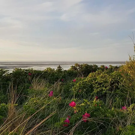 Apartman Residenz Luv Und Lee Cuxhaven